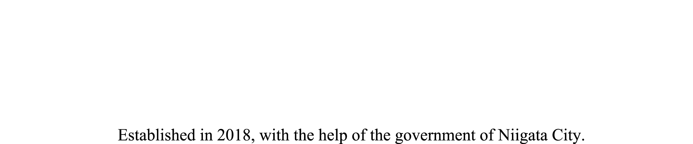 Niigata Aerospace Corporation